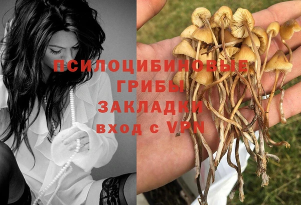 спайс Верея